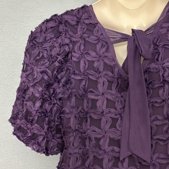 Cato Collection Women Top Plus 14/16W Purple Chiffon Ribbon Tie Whimsigoth Fairy - Picture 4 of 11